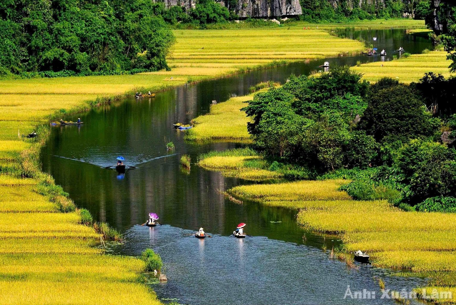 Ninh Binh Illustrated Map — Tam Coc, Hang Mua, Bich Dong, Trang An